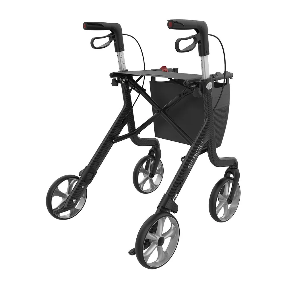 Space CF Rollator Rear View.jpg